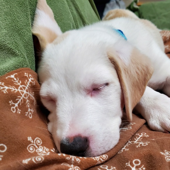 Meet your Posher, Gary - Picture 1 of 1